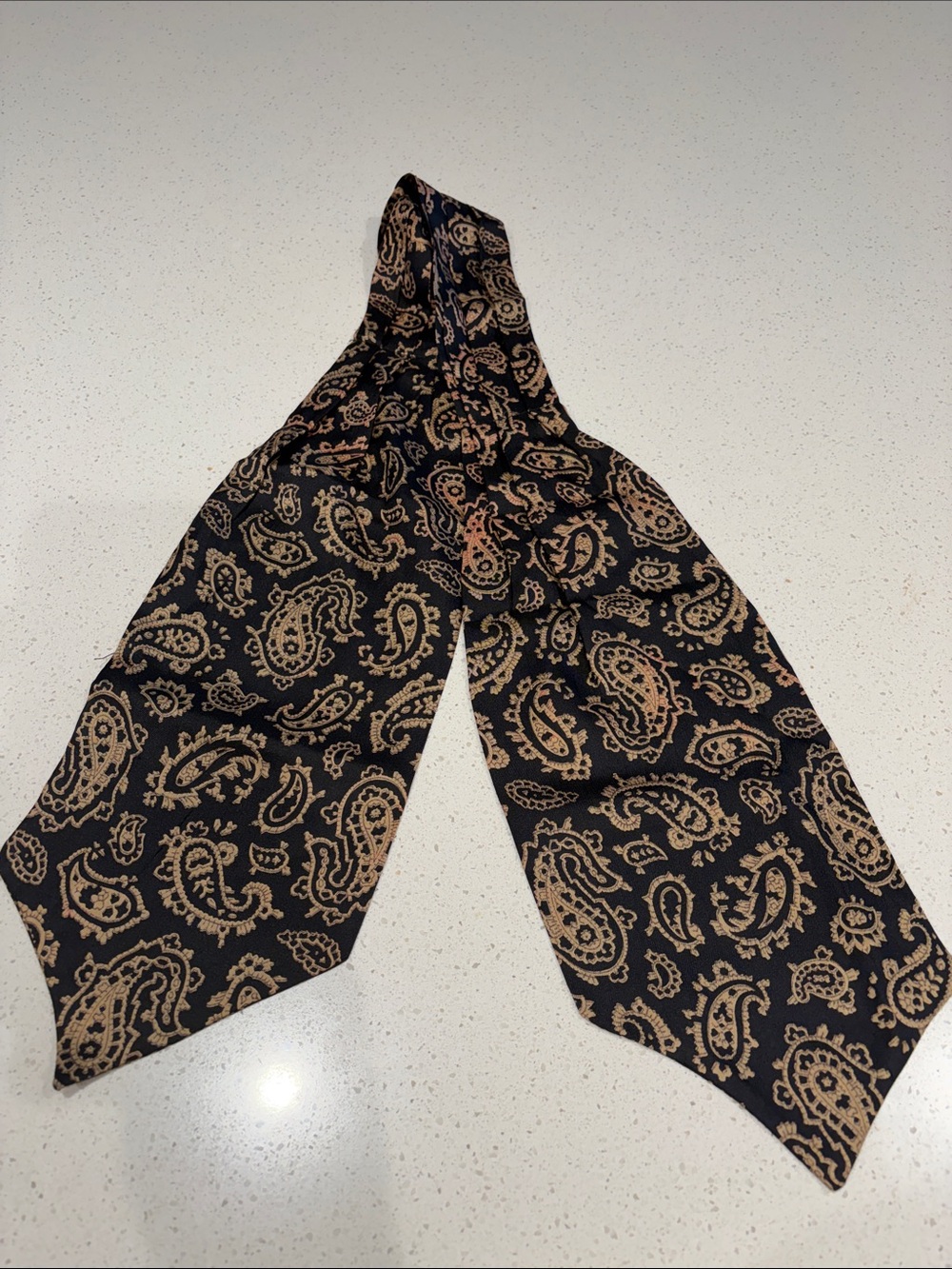 Men's Black & Tan Paisley Cravat